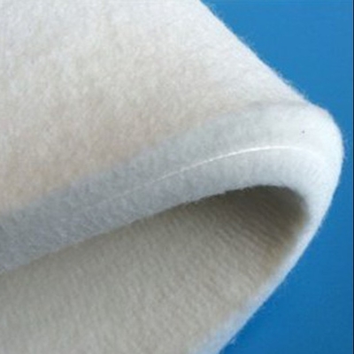 Imported Wool Nomex Needle Endless Sanfor Felt For Continuous Decatizing